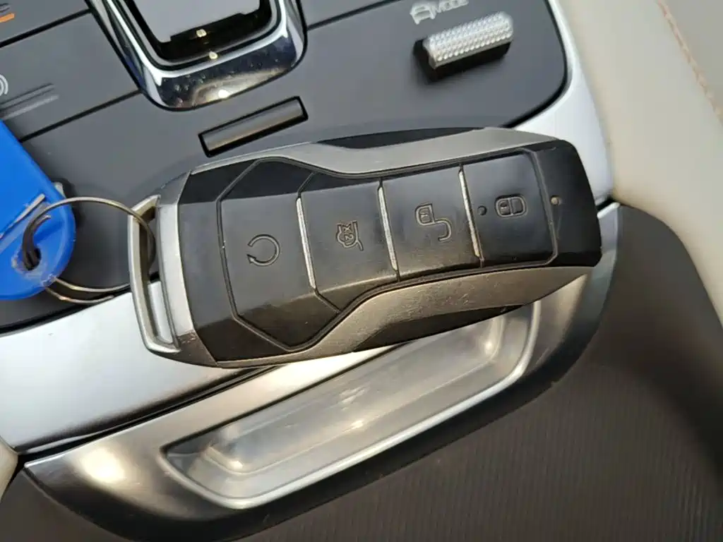 BYD PLUS New Energy — фото 8