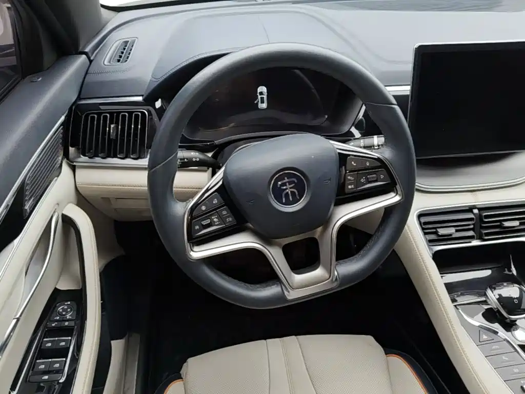 BYD PLUS New Energy — фото 10