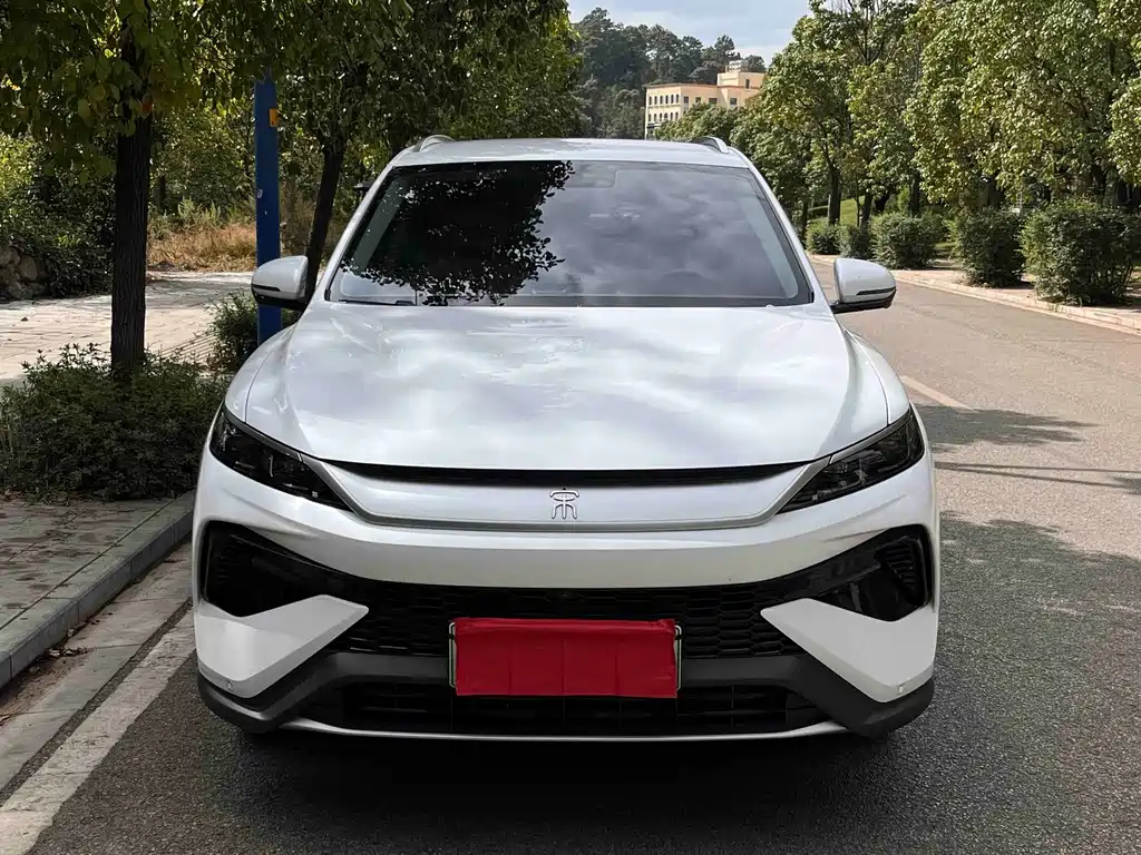 BYD Pro New Energy — фото 2