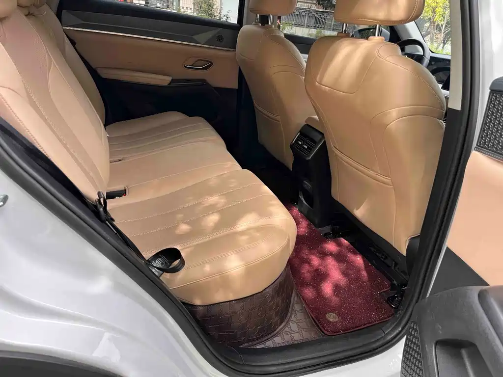 BYD Pro New Energy — фото 15