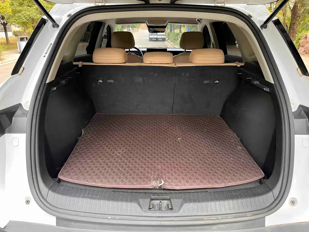 BYD Pro New Energy — фото 23