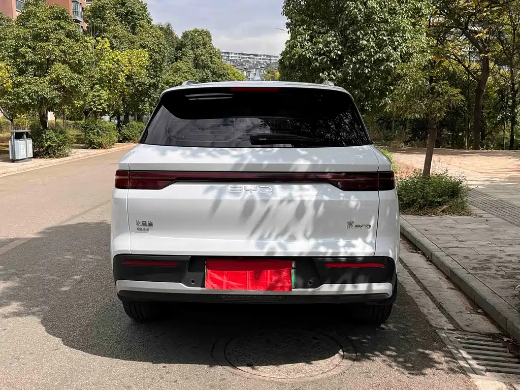 BYD Pro New Energy — фото 6