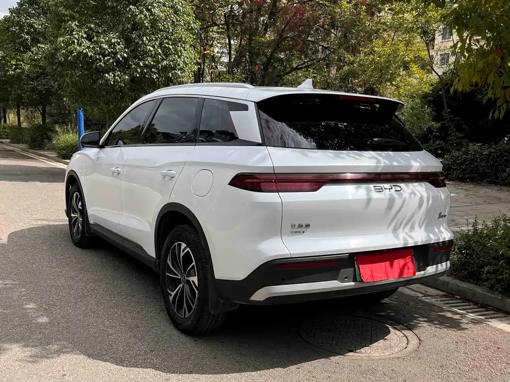 BYD Pro New Energy — фото 8