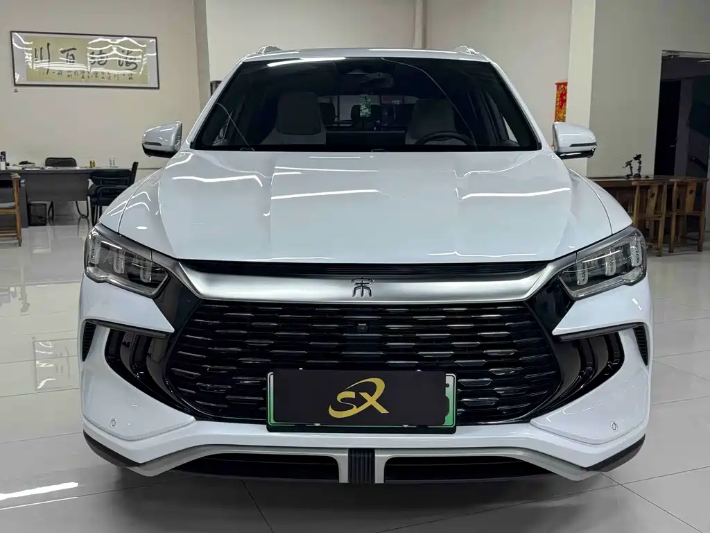 BYD Pro New Energy — фото 2