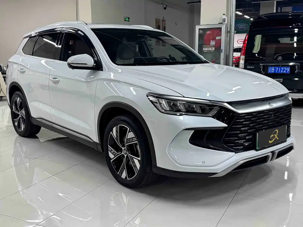 BYD Pro New Energy — фото 3