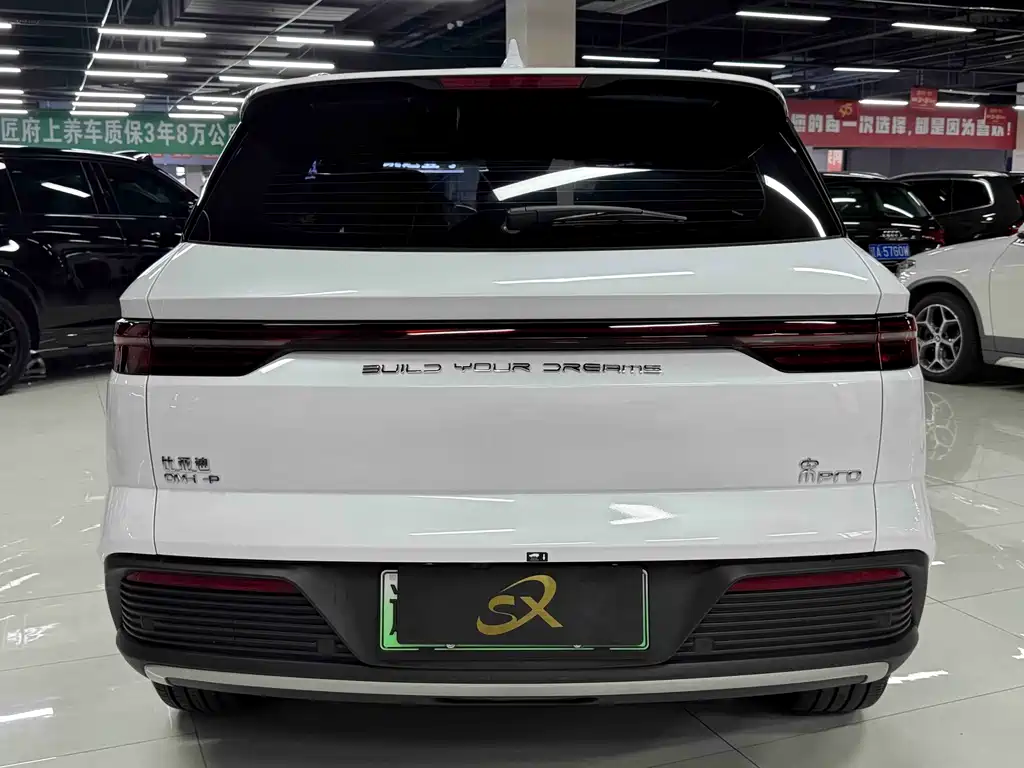 BYD Pro New Energy — фото 4