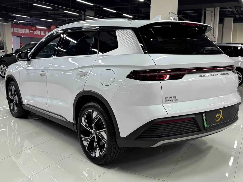 BYD Pro New Energy — фото 6