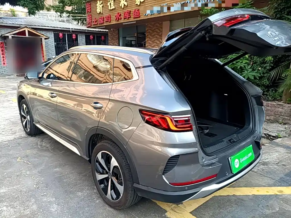 BYD PLUS New Energy — фото 4