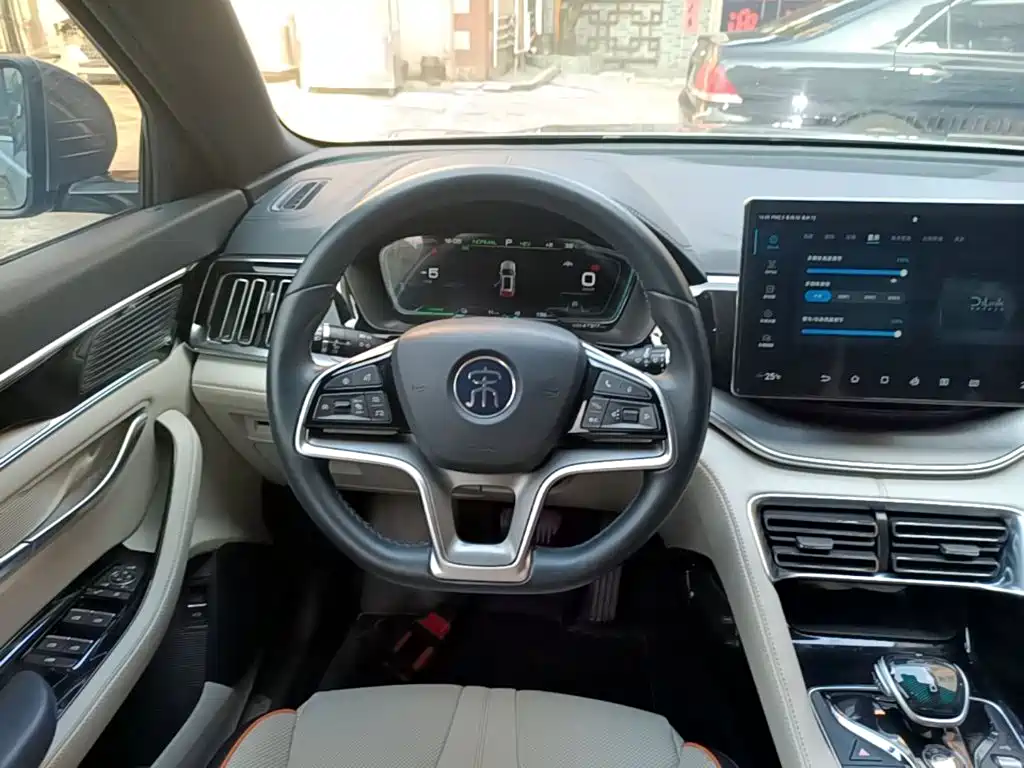 BYD PLUS New Energy — фото 10