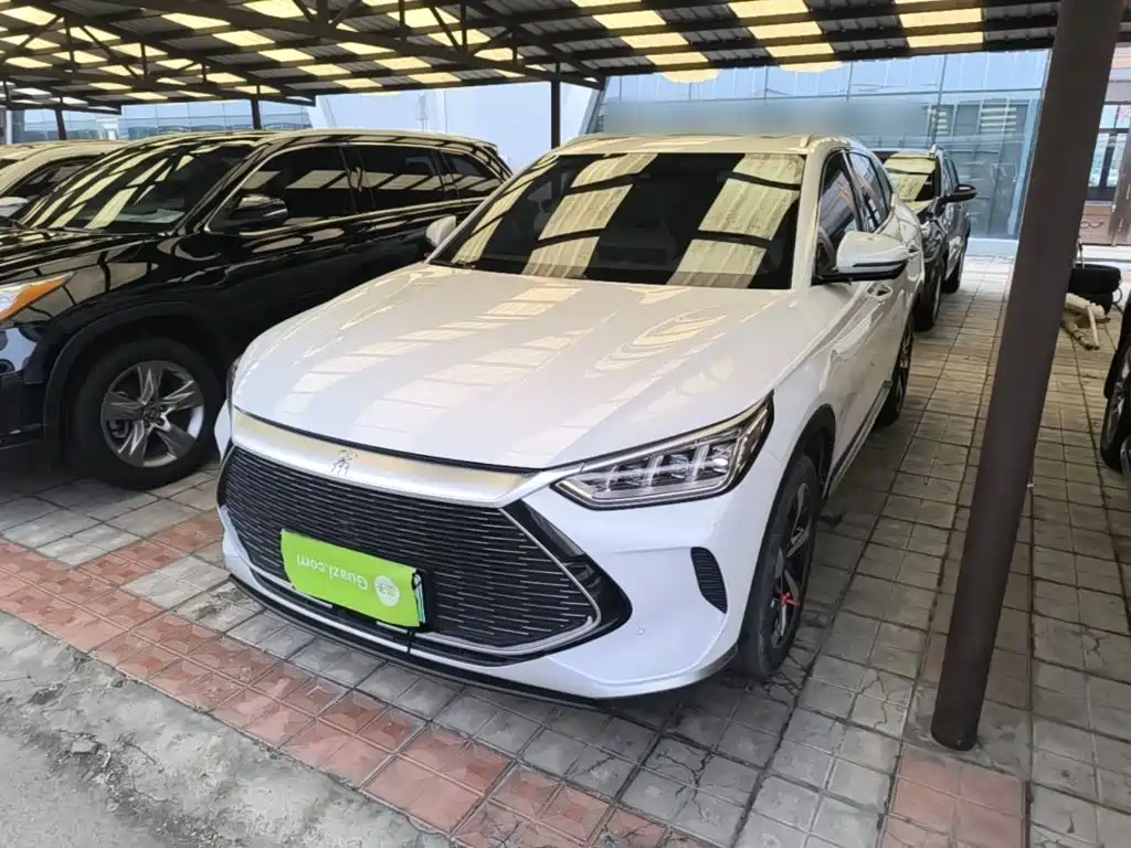 BYD PLUS New Energy — фото 2