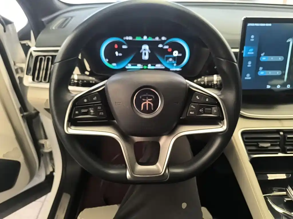BYD PLUS New Energy — фото 11