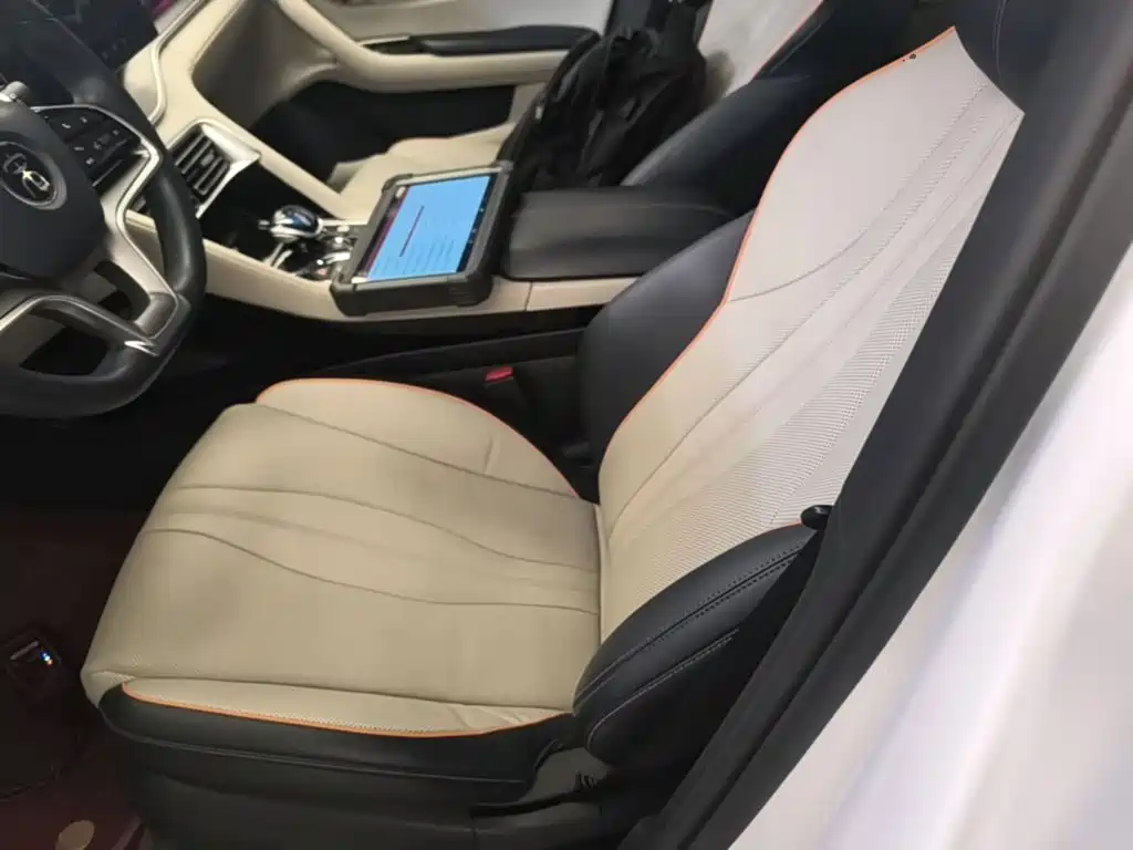 BYD PLUS New Energy — фото 15
