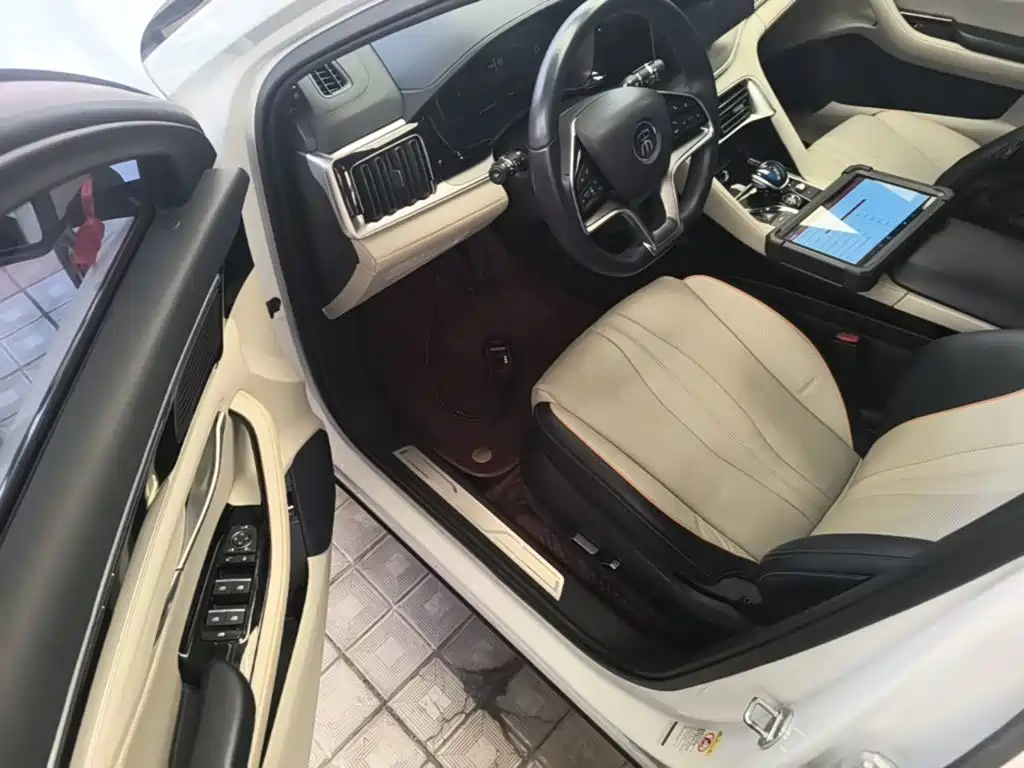BYD PLUS New Energy — фото 16