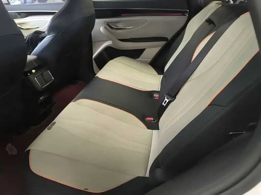 BYD PLUS New Energy — фото 17