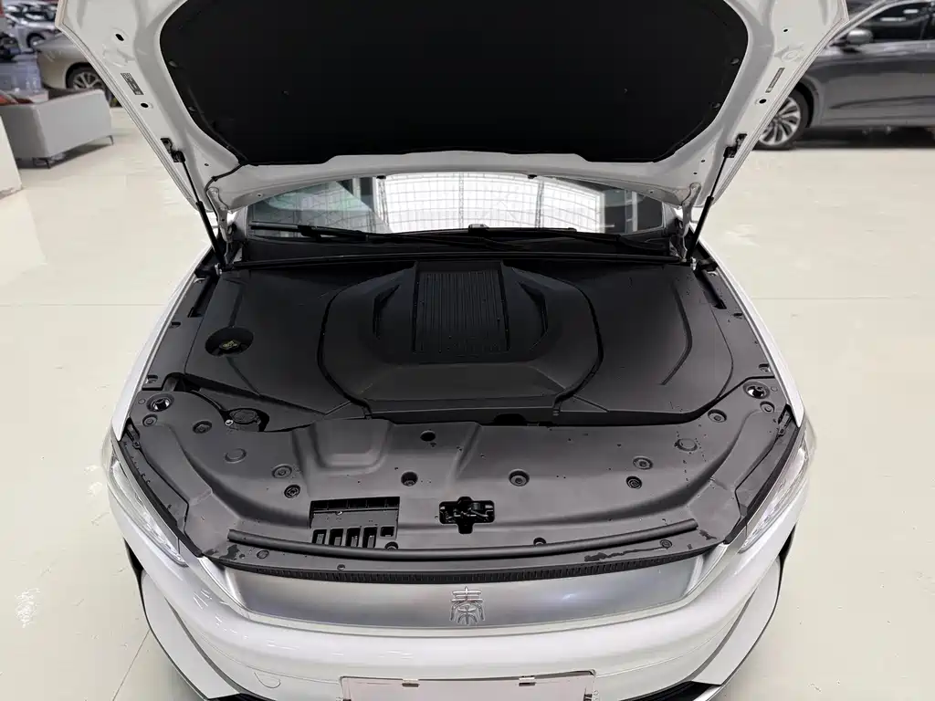 BYD Qin PLUS — фото 17