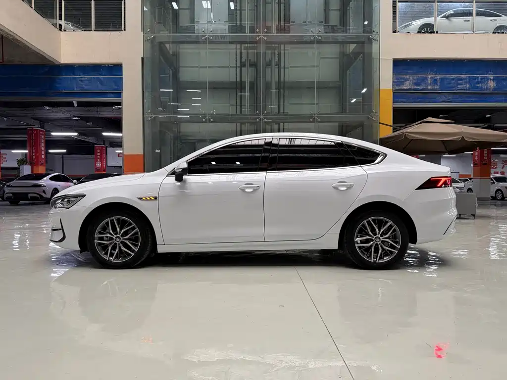 BYD Qin PLUS — фото 4
