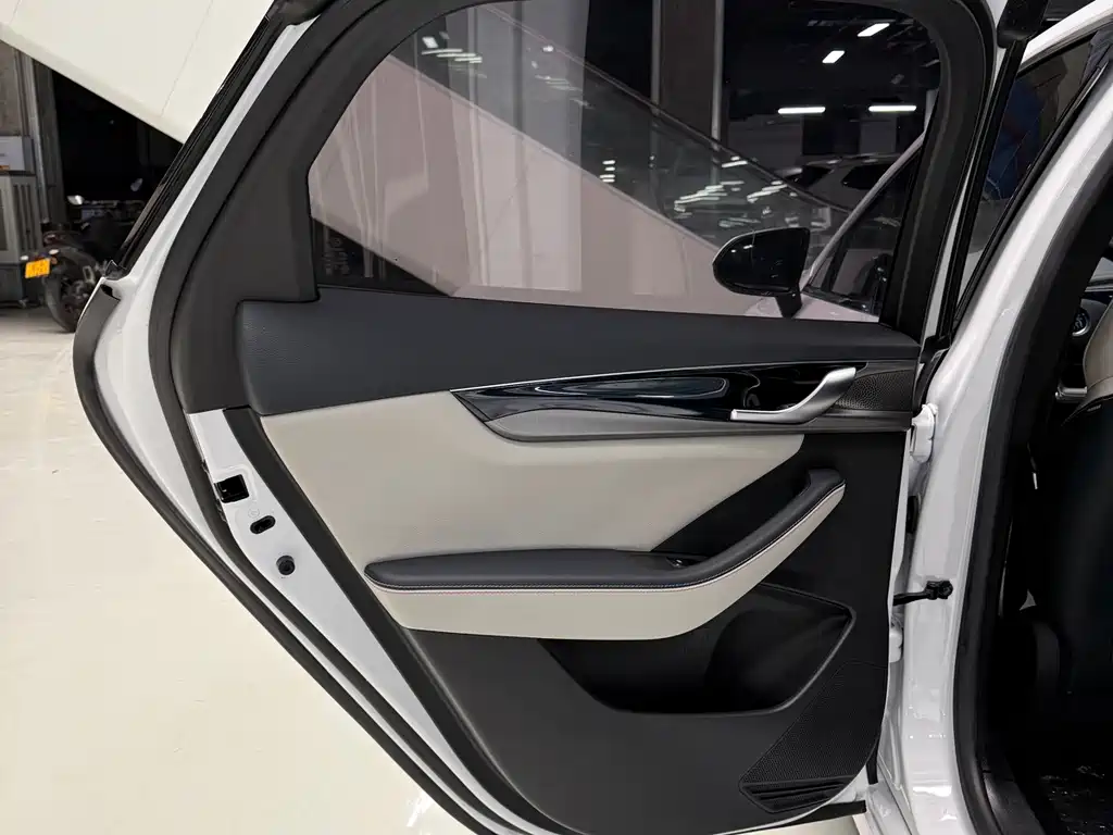 BYD Qin PLUS — фото 10