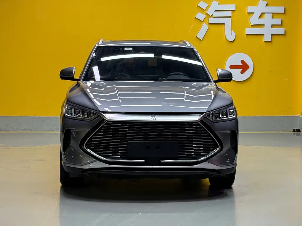 BYD PLUS New Energy — фото 2