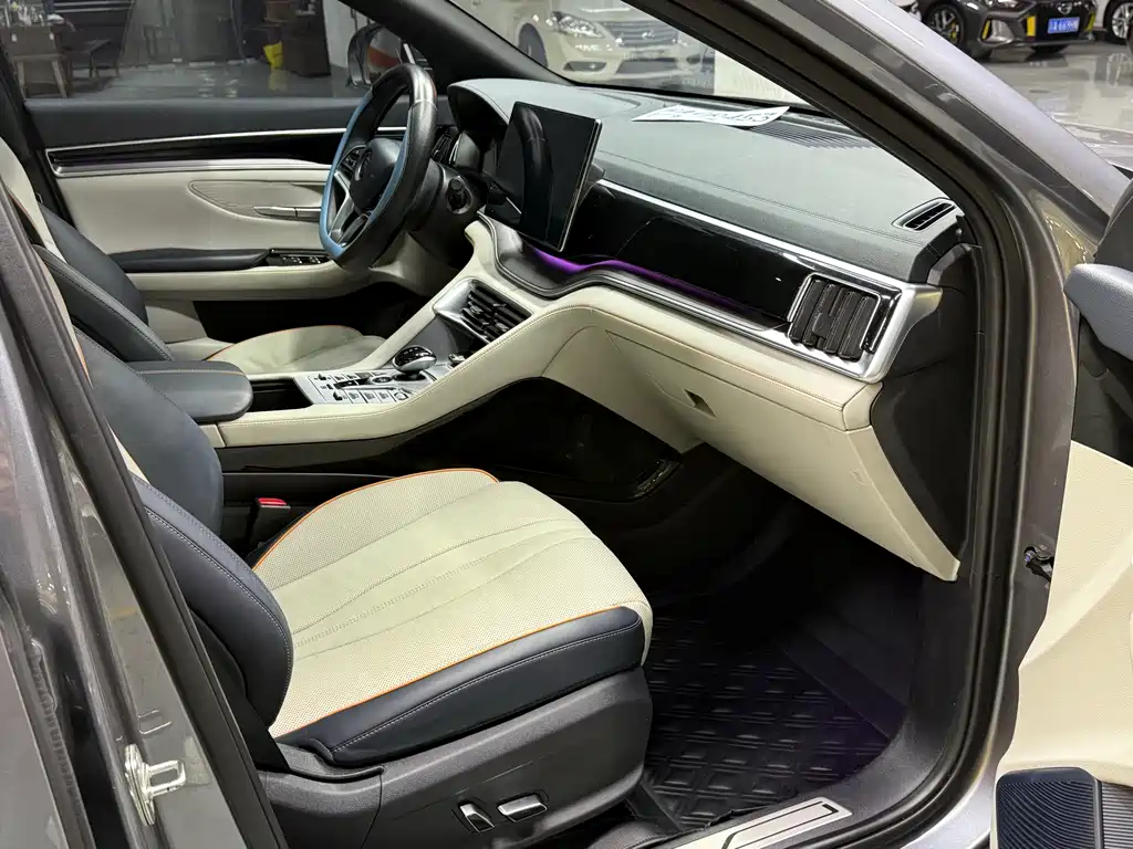 BYD PLUS New Energy — фото 11