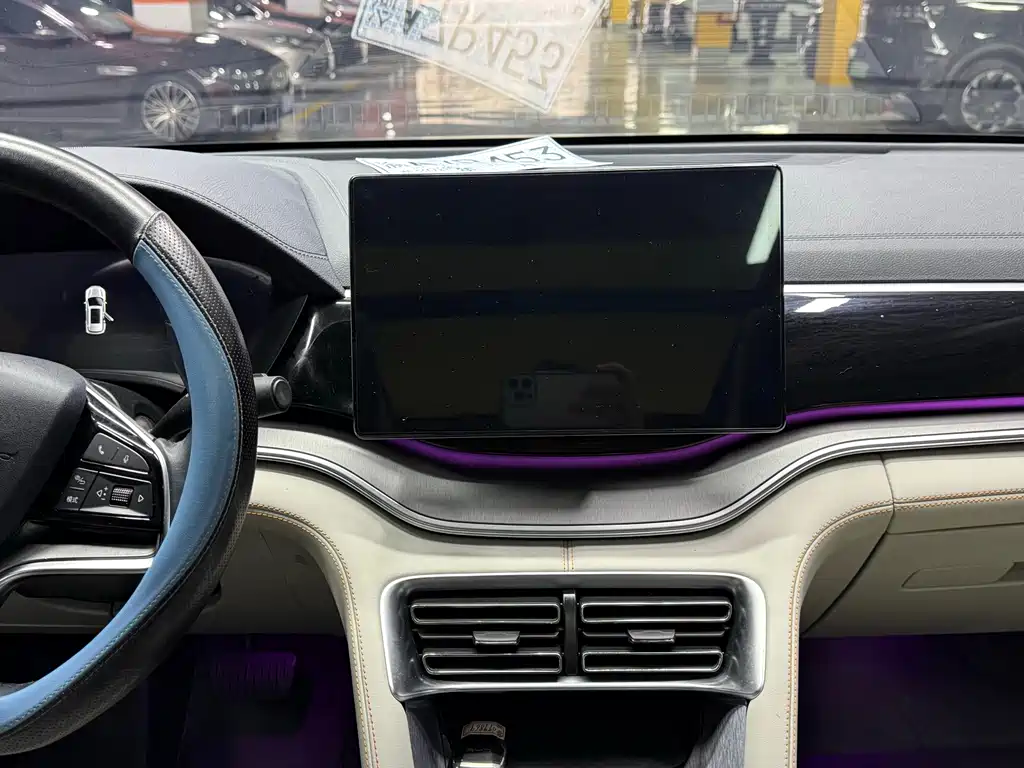 BYD PLUS New Energy — фото 14
