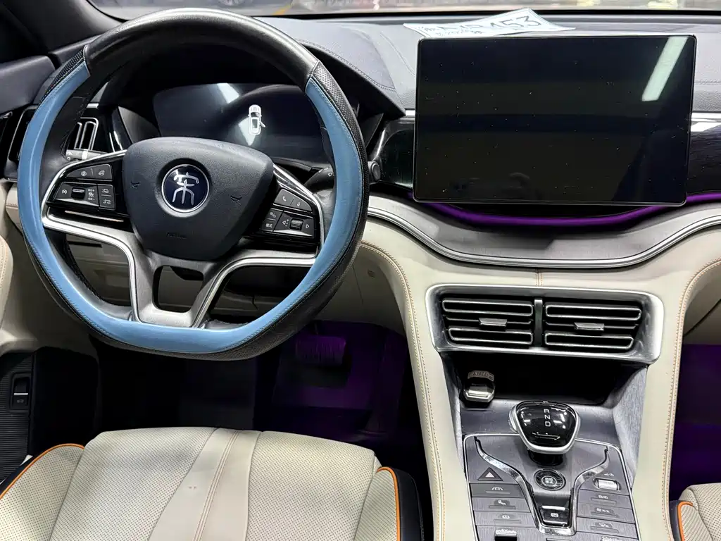 BYD PLUS New Energy — фото 16
