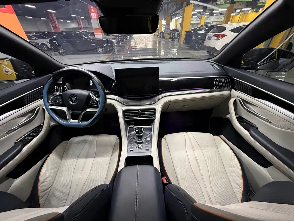 BYD PLUS New Energy — фото 17