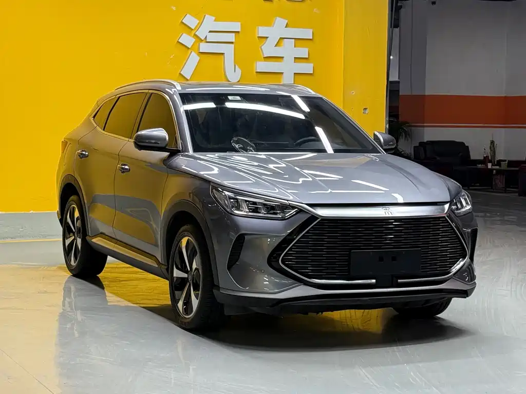 BYD PLUS New Energy — фото 3