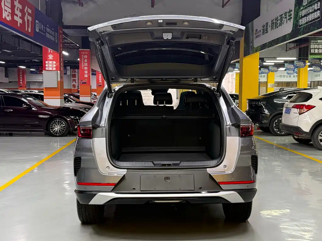 BYD PLUS New Energy — фото 21