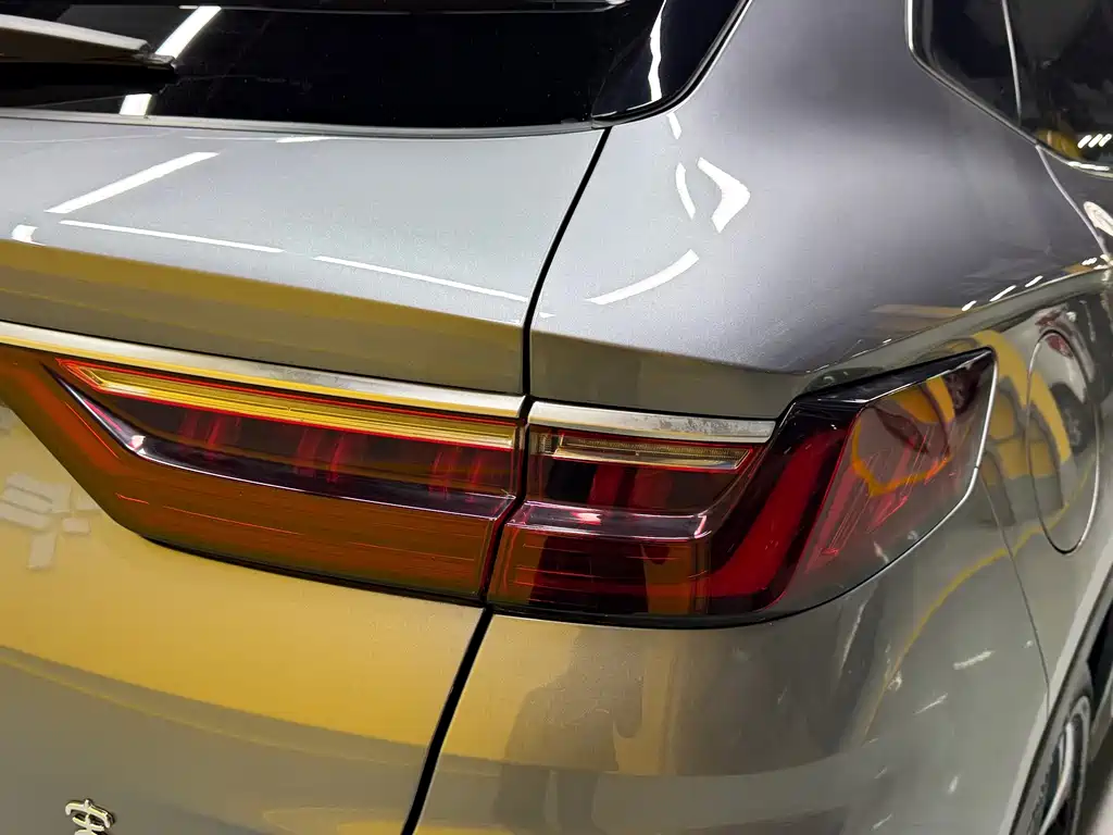 BYD PLUS New Energy — фото 28