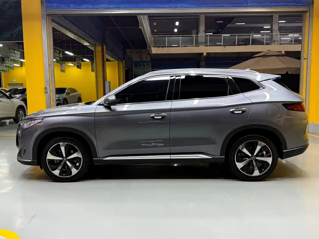 BYD PLUS New Energy — фото 8
