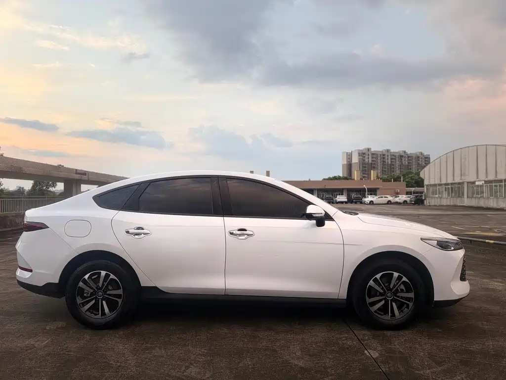 BYD Qin PLUS — фото 4