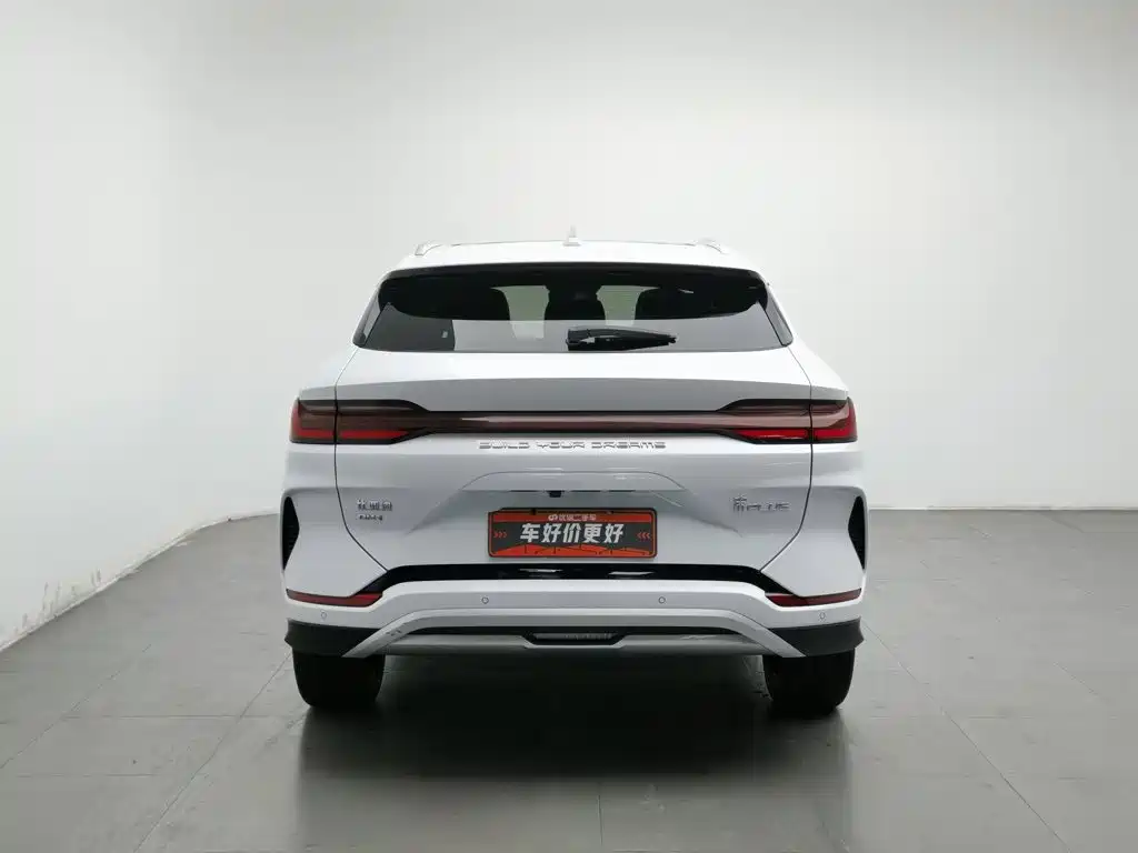 BYD PLUS New Energy — фото 4