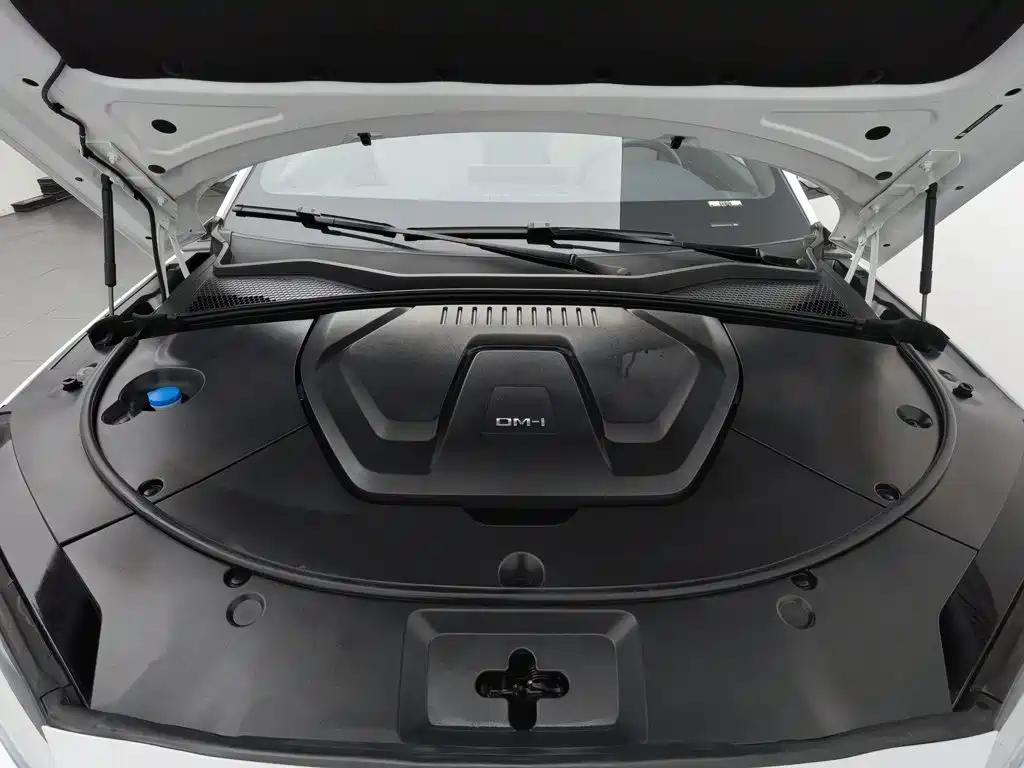 BYD PLUS New Energy — фото 6