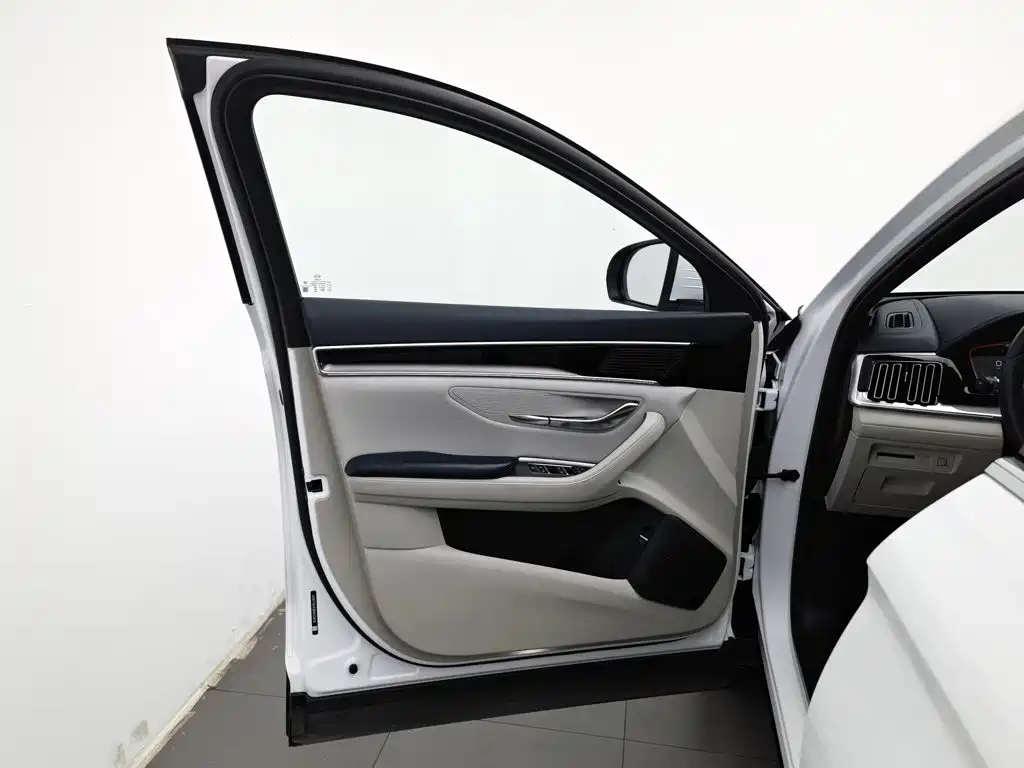 BYD PLUS New Energy — фото 8