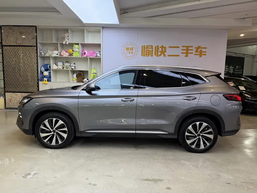 BYD PLUS New Energy — фото 4