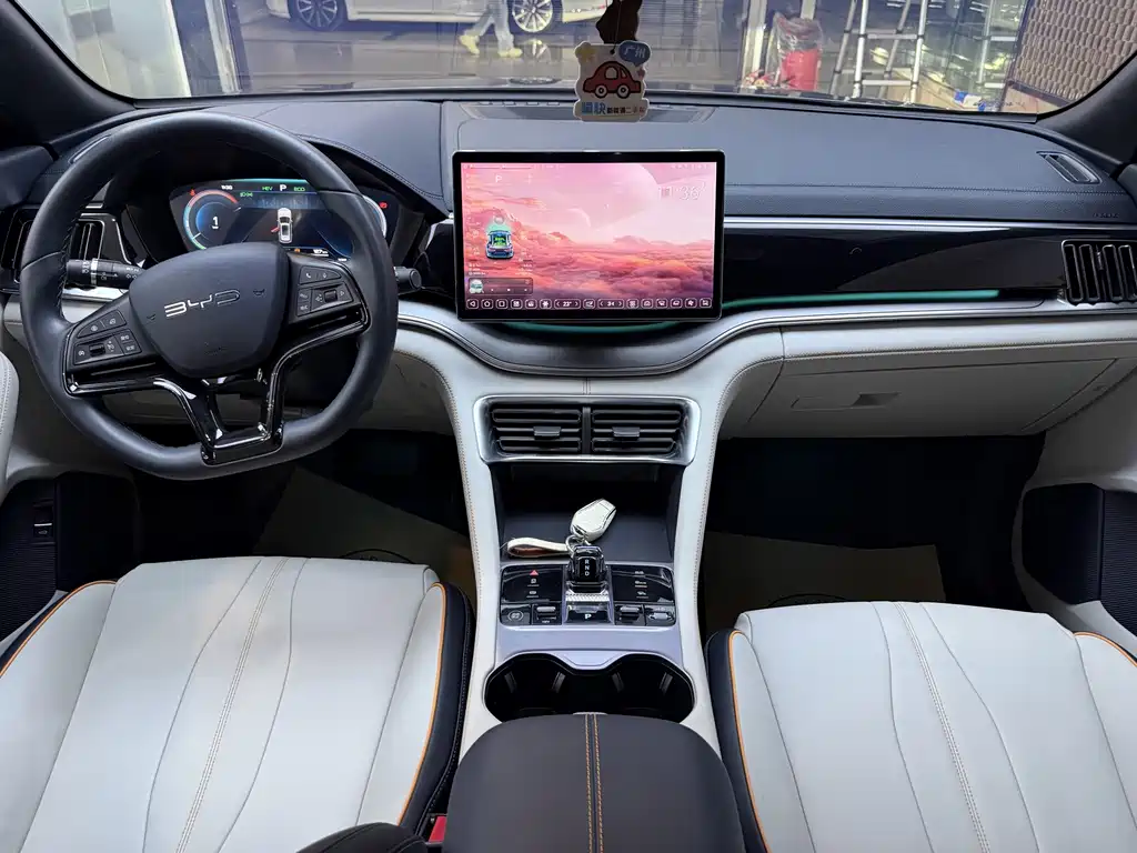 BYD PLUS New Energy — фото 10
