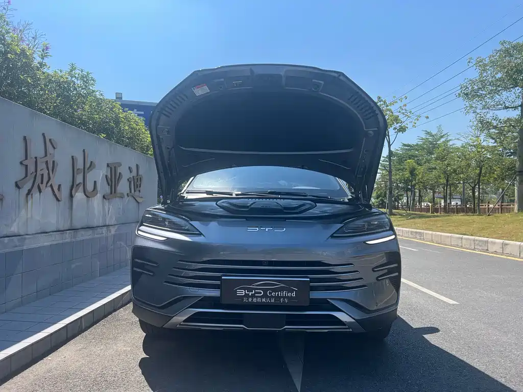 BYD PLUS New Energy — фото 6