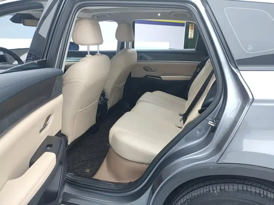 BYD Pro New Energy — фото 11