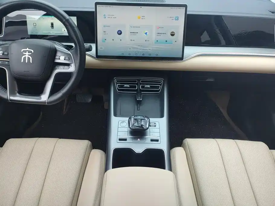 BYD Pro New Energy — фото 16