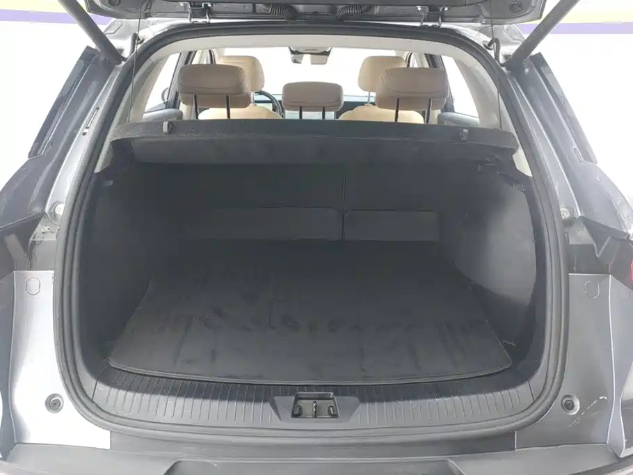 BYD Pro New Energy — фото 4