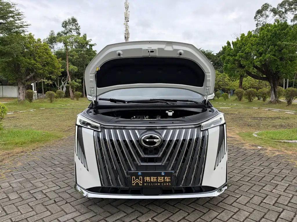 GAC Motor Trumpchi M8 — фото 20