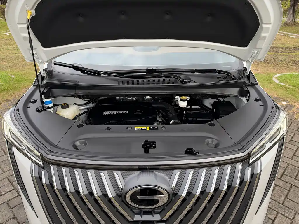 GAC Motor Trumpchi M8 — фото 21