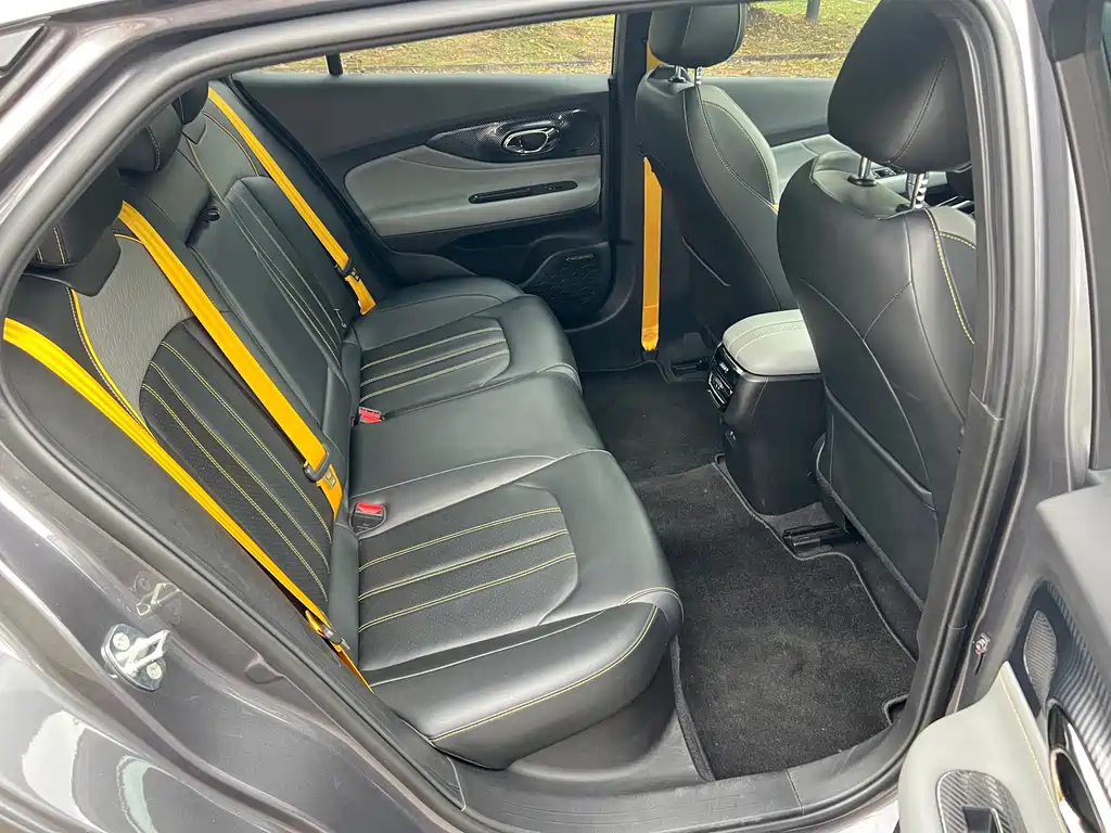 GAC Motor Shadow Leopard — фото 17