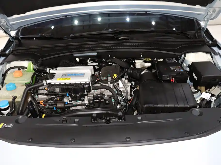 GAC Motor Shadow Leopard — фото 20