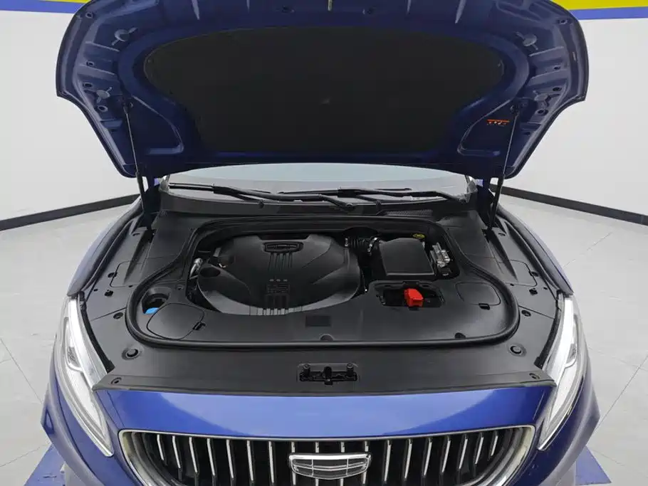 Geely Borui — фото 10