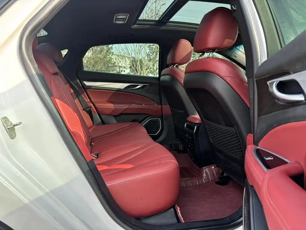 Geely Borui — фото 7
