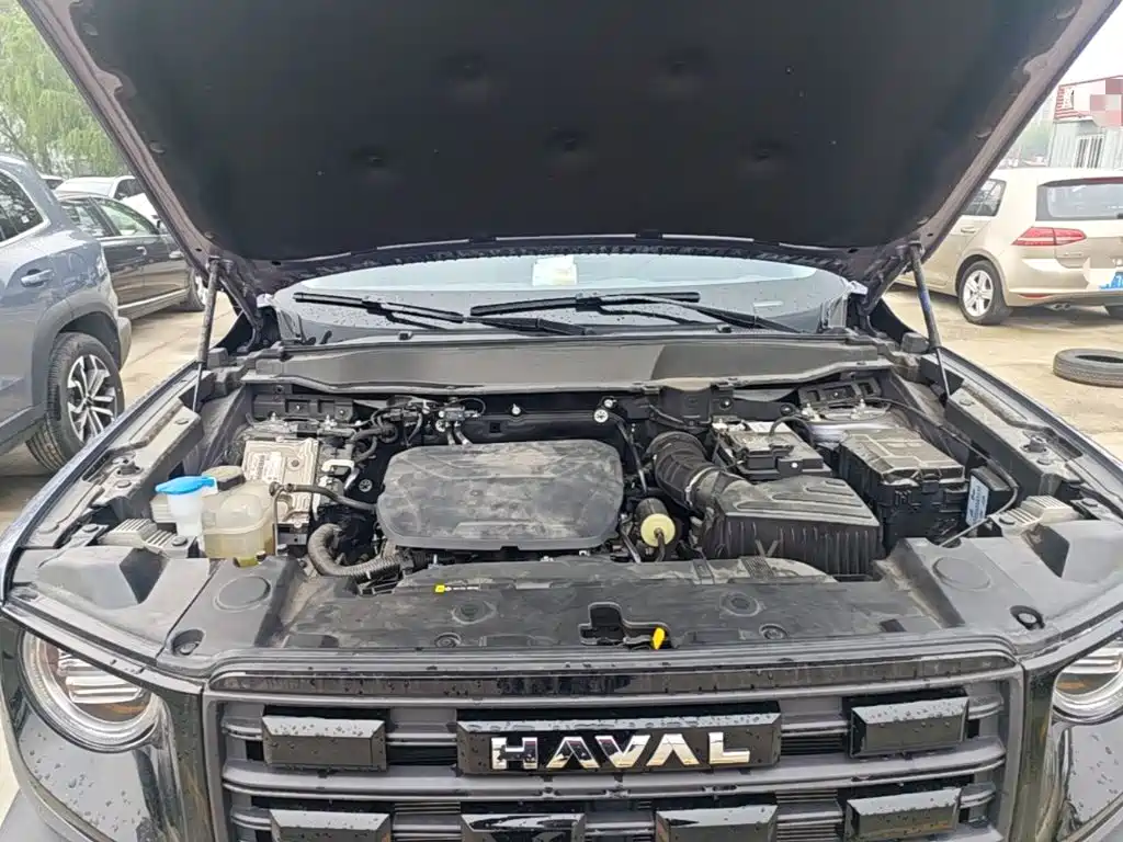 Haval Big Dog — фото 20