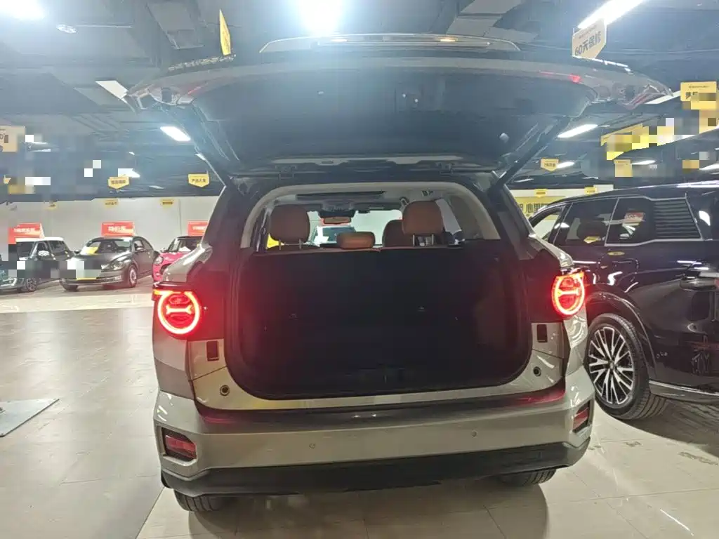 Haval Big Dog PLUS — фото 19