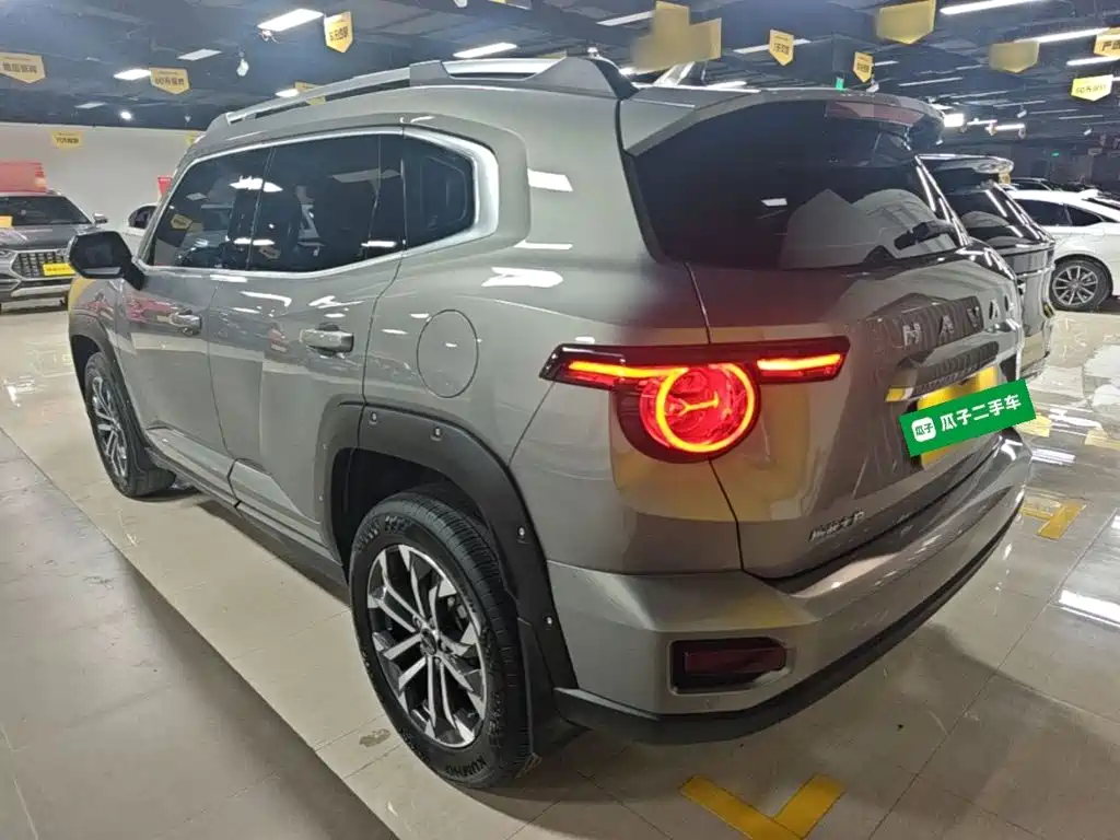 Haval Big Dog PLUS — фото 5