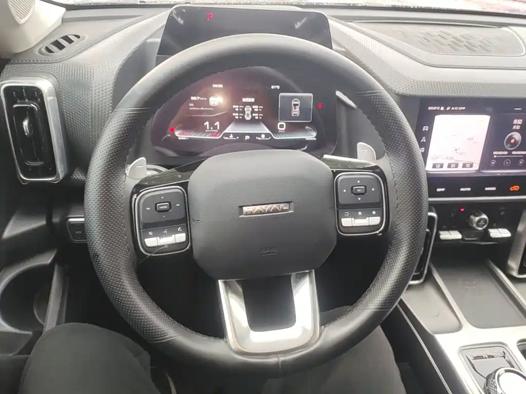 Haval Big Dog — фото 11